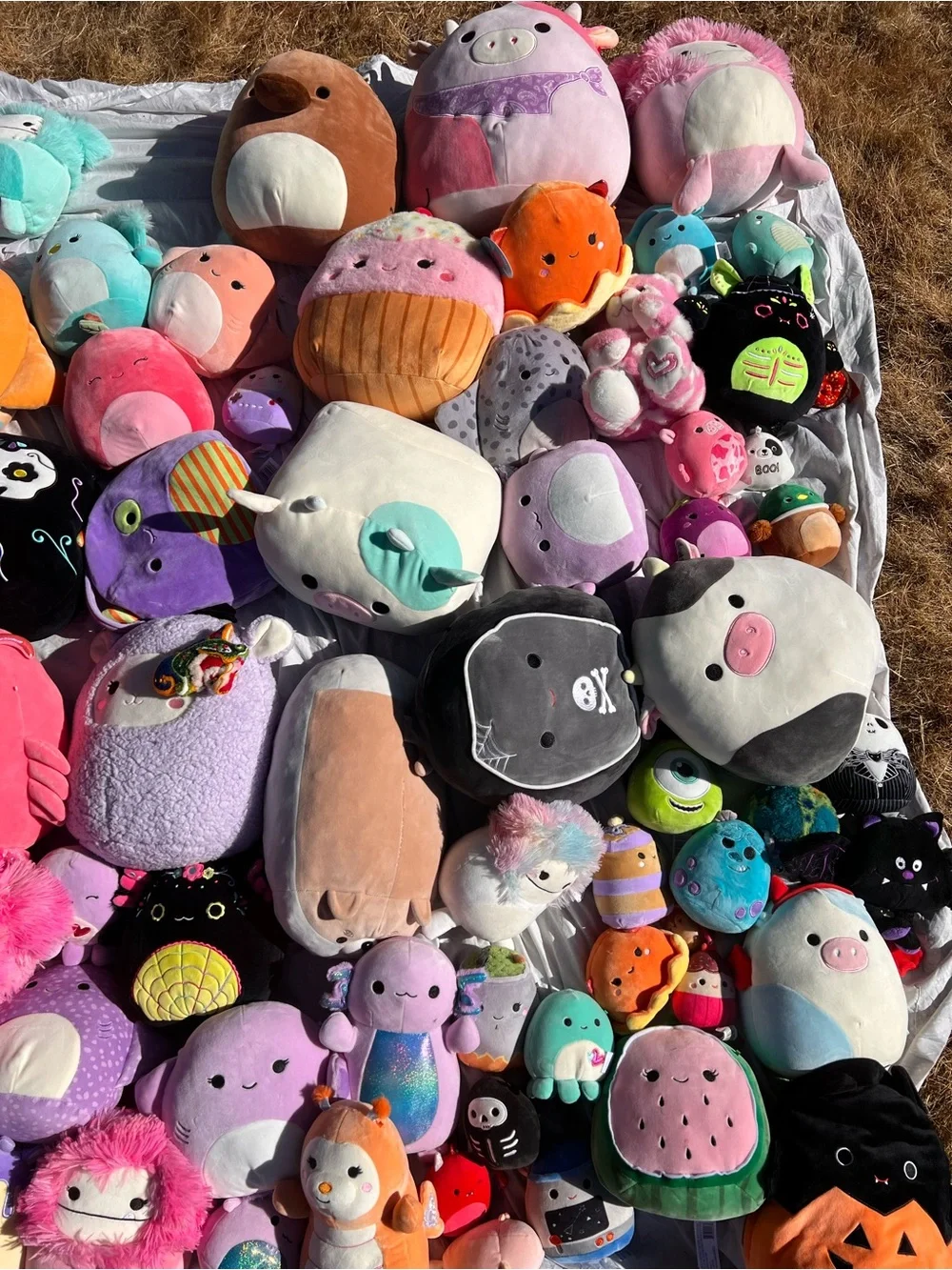 Plush Squishy Soft Pink and Pastel Assorted Small Pets Plush Toy